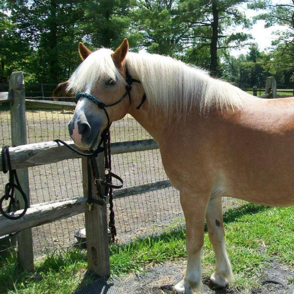 Meet your Posher, Jackie